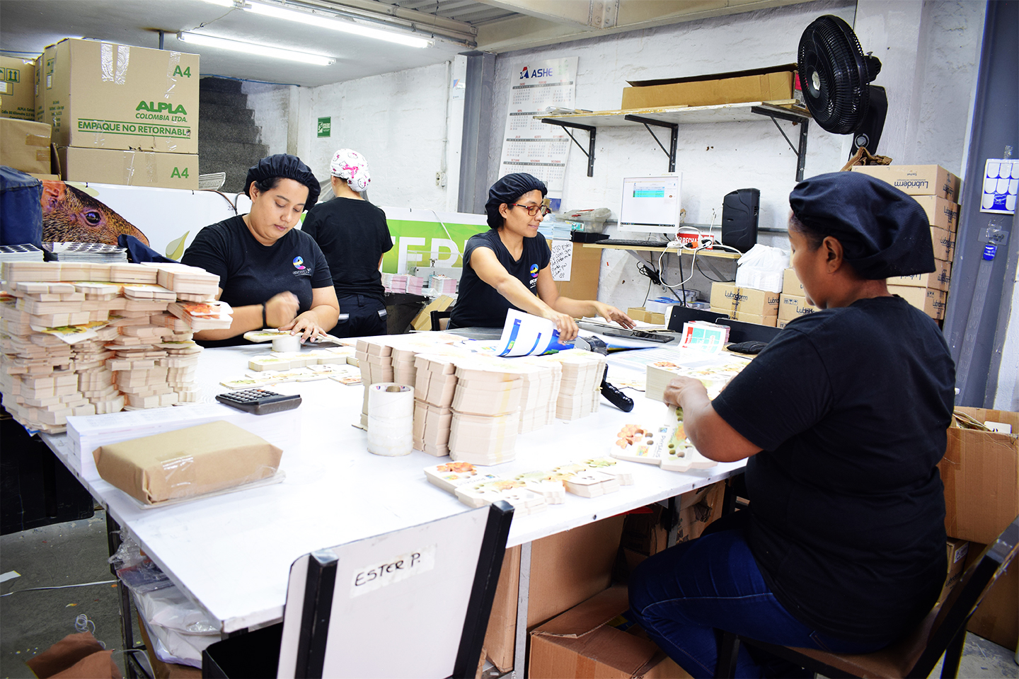 IMPRESION DE PLEGADIZAS ESCARRIA